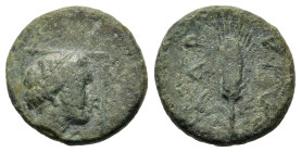 Thrace, Kardia, c. 357-306 BC. Æ (14,8mm,2g). Head of Demeter r., wearing earring and collar; all within linear square border. R/ Grain ear. Tzvetkova...