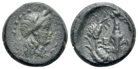Aeolis, Elaia, c. 2nd-1st century BC. Æ (14mm, 3.69g, 12h). Head of Demeter r., wearing grain wreath. R/ Torch within grain wreath. BMC 23. Green pati...