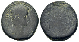 Octavian as Augustus (27 BC-14 AD). Æ As (23,2mm,11.9g). Uncertain mint in Asia. CAESAR Bare head r. R/laurel wreath. Cf. C 34. BMC 731. RIC 486. CBN ...