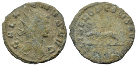 Gallienus (253-268). Æ Radiate (20,5mm,2.5g). Rome. Radiate head of Gallienus to r. R/ Panther walking to l., [B ? in exergue]. MIR 713b; RIC 230.