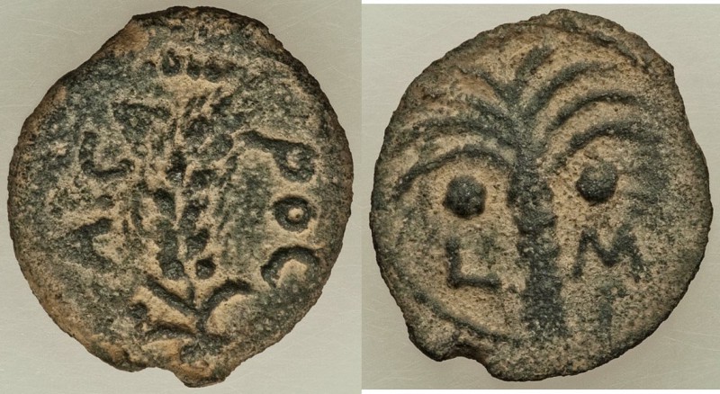 JUDAEA. Roman Procurators. Marcus Ambibulus (AD 9-12). AE prutah (16mm, 1.95 gm,...