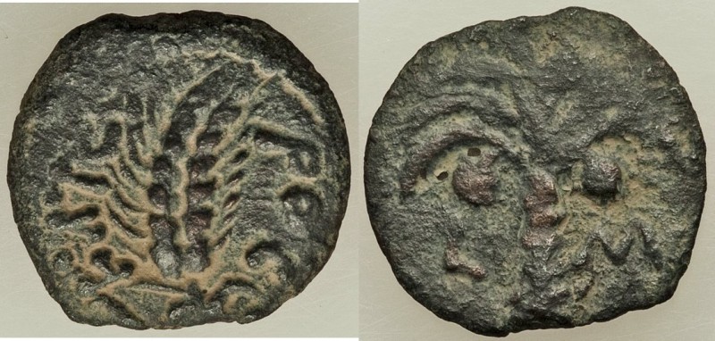 JUDAEA. Roman Procurators. Marcus Ambibulus (AD 9-12). AE prutah (16mm, 1.47 gm,...