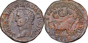 SPAIN. Caesaraugusta.Caligula (AD 37-41). AE (29mm, 15.02 gm, 5h). NGC XF 5/5 - 3/5. Licinianus and Germanus, as duoviri. C CAESAR AVG GERMANICVS IMP,...