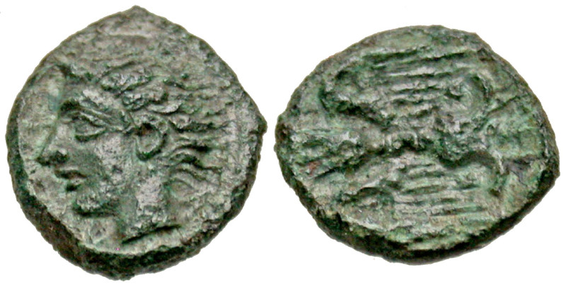Sicily, Katane. Ca. 339-300 B.C. AE onkia (10.3 mm, .76 g, 6 h). Head of the riv...