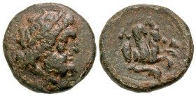 Mysia, Lampsakos. 4th-3rd centuries B.C. AE 16 (15.9 mm, 3.02 g, 11 h). Laureate head of Zeus right / Λ-A-M, forepart of pegasus right, dolphin below....