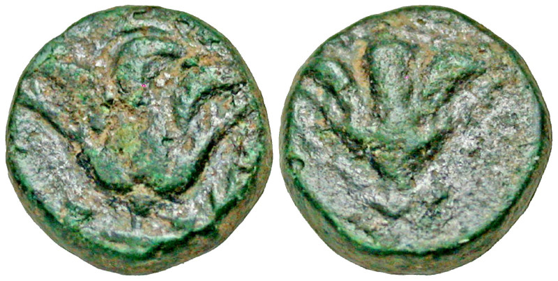 Islands off Caria, Rhodos. Rhodes. Ca. 394-304 B.C. AE 10 (10.3 mm, 1.55 g, 5 h)...