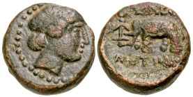 Seleukid Kingdom. Seleukos I Nikator. 312-281 B.C. AE 14 (15.89 mm, 5.53 g, 12 h). Winged head of Medusa right / ΒΑΣΙΛΕΩ[Σ] / ΣΕΛΕΥΚ[ΟΥ], titles horiz...