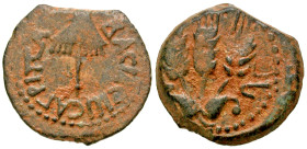 Judaea, Herodian Kingdom. Agrippa I. 37-44 C.E. AE prutah (16.8 mm, 2.76 g, 12 h). Jerusalem mint, struck 41-42 C.E.. BACIΛEΩC AΓPIΠA, umbrella / Thre...