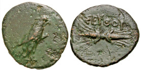 Thracian Kingdom, Seuthopolis. Seuthes III. Ca. 330/25-295 B.C. AE 19 (18 mm, 5.07 g, 6 h). Eagle standing right, wings closed / ΣΕΥΘΟΥ, King's name a...
