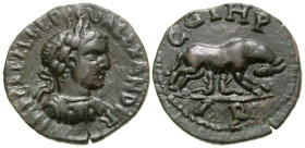 Mysia, Parium. Severus Alexander. A.D. 222-235. AE 22 (22.01 mm, 5.03 g, 2 h). IMP CAE L EP EV ALEXANDER, laureate, draped and cuirassed bust of Sever...