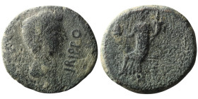HISPANIA. Baetica. Irippo. Augustus ? (27 BC-14 AD). 
AE Semis (26mm, 8,98g)