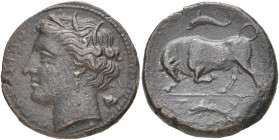 SICILE, SYRACUSE, Agathoclès (317-289), AE bronze, 317-310 av. J.-C. D/ ΣYPAKOΣION T. de Perséphone à g., cour. d'épis. Derrière, tête de pavot. R/ Ta...