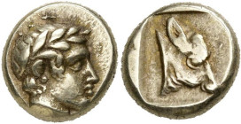 ÎLE DE LESBOS, MYTILÈNE, El. hecté, 454-428 av. J.-C. D/ T. l. d'Apollon à d. R/ T. de veau à d. dans un carré creux. Bodenstedt 56; SNG von Aulock 77...