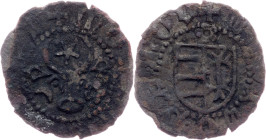 Moldova region, Double Groat 15th Century?