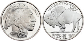 USA, 1 Oz Silver 2015