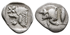 MYSIA. Kyzikos. Hemiobol (Circa 450-400 BC).
Obv: Head of roaring lion left; star to upper left; all within incuse square.
Rev : Forepart of boar left...