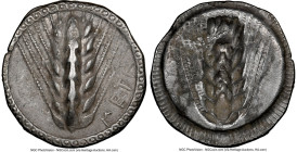 LUCANIA. Metapontum. Ca. 510-470 BC. AR stater (24mm, 12h). NGC XF. META, grain ear; guilloche border on raised rim / Incuse grain ear; striated borde...