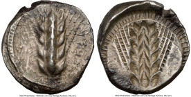 LUCANIA. Metapontum. Ca. 470-440 BC. AR stater (20mm, 7.94 gm, 12h). NGC Choice VF 4/5 - 3/5. META, grain ear; guilloche border on raised rim / Incuse...