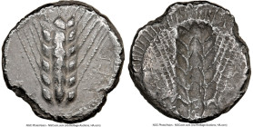 LUCANIA. Metapontum. Ca. 470-440 BC. AR stater (19mm, 5h). NGC Choice VF. META (retrograde), grain ear; guilloche border on raised rim / Incuse grain ...