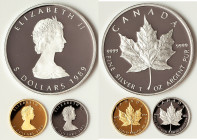 Elizabeth II 3-Piece silver, gold and platinum "Maple Leaf" 5 Dollar Proof Set 1989, 1) gold 5 Dollars (1/10 oz) - KM135. AGW 0.1003 oz 2) platinum 5 ...