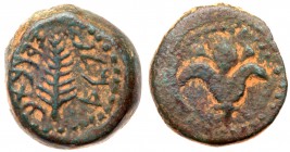 Judaea, Hasmonean Kingdom. Alexander Jannaeus (Yehonatan). Æ 1/2 Prutah (1.66 g), 103-76 BCE.. VF