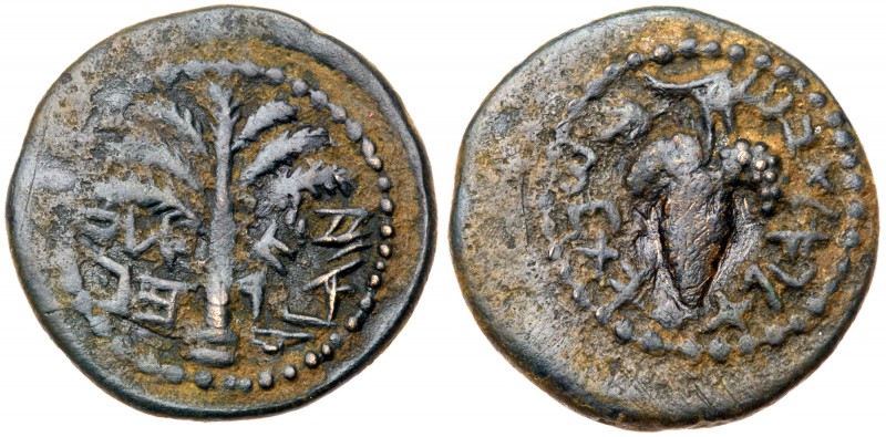 Judaea, Bar Kokhba Revolt. &AElig; Small Bronze (5.14 g), 132-135 CE. Year 1 (13...