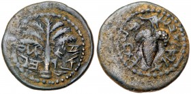 Judaea, Bar Kokhba Revolt. Æ Small Bronze (5.14 g), 132-135 CE. F-VF
