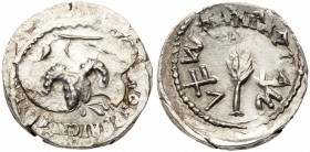Judaea, Bar Kokhba Revolt. Silver Zuz (3.36 g), 132-135 CE. VF