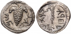 Judaea, Bar Kokhba Revolt. Silver Zuz (3.25 g), 132-135 CE. EF