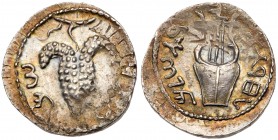 Judaea, Bar Kokhba Revolt. Silver Zuz (3.42 g), 132-135 CE. EF
