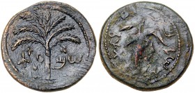 Judaea, Bar Kokhba Revolt. Æ Medium Bronze (14.76 g), 132-135 CE. VF
