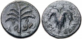 Judaea, Bar Kokhba Revolt. Æ Medium Bronze (11.56 g), 132-135 CE. VF