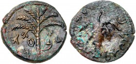 Judaea, Bar Kokhba Revolt. Æ Medium Bronze (9.61 g), 132-135 CE. VF