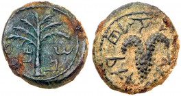 Judaea, Bar Kokhba Revolt. Æ Small Bronze (5.13 g), 132-135 CE. VF