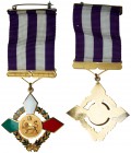 Iran. Pahlavi Sport Education, Breast Badge Service Medal. EF