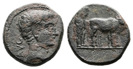 Macedonia. Philippi. Augustus, 27 BC – AD 14. AE (Bronze, 18 mm, 5.14 g.). AVG, bare head of Augustus to right, all within border of dots. Rev. Two pr...