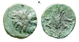 The Thracian Chersonese. Lysimacheia circa 356-309 BC. Bronze Æ
