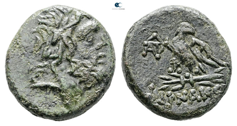 Pontos. Pharnakeia. Time of Mithradates VI Eupator 120-63 BC. 
Bronze Æ

20 m...