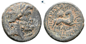 Seleucis and Pieria. Antioch. Pseudo-autonomous issue. Time of Augustus 27 BC-AD 14. Bronze Æ