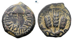 Judaea. Jerusalem. Herodians. Agrippa I AD 37-43. Prutah Æ