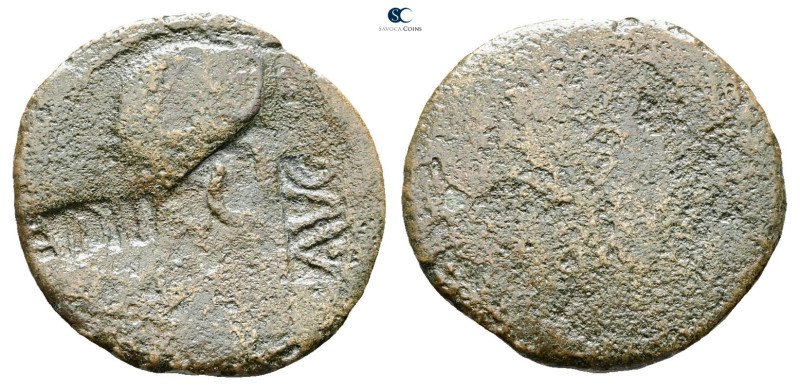 Augustus 27 BC-AD 14. Rome
As Æ

26 mm, 4,80 g



Fine