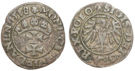 Zygmunt I Stary, Szeląg 1538, Gdańsk