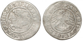 Zygmunt I Stary, Półgrosz 1520, Wilno