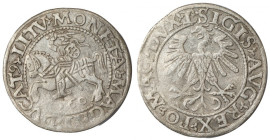 Zygmunt II August, Półgrosz 1560, Wilno - L/LITV