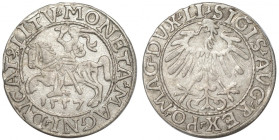 Zygmunt II August, Półgrosz 1557, Wilno - LI/LITV