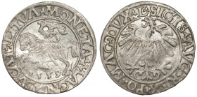 Zygmunt II August, Półgrosz 1559, Wilno - L/LITVA