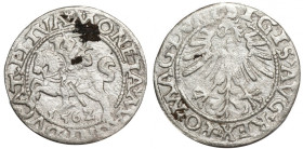 Zygmunt II August, Półgrosz 1562, Wilno - L/LITVA