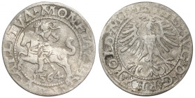 Zygmunt II August, Półgrosz 1564, Wilno - L/LITVA