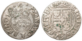 Zygmunt III Waza, Półtorak 1625, Bydgoszcz - Półkozic bez tarczy