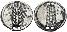 LUCANIA. Metapontion. Circa 530-520 BC. Nomos (Bronze, with contemporary silver plating, 27 mm, 7.24 g, 12 h), fouree. Ear of barley with seven grains...